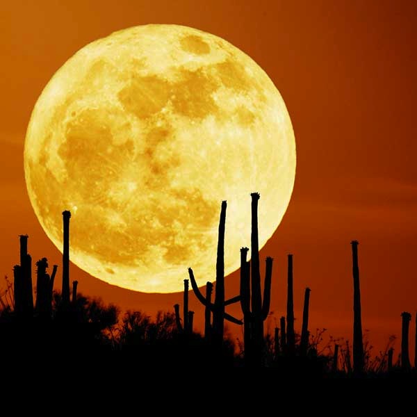 stacks_image_C2F97C66-173F-4B05-8D44-C0EB2FBD3336